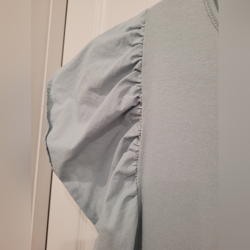 Zara Ruffled Sleeve Blue Dress, Large - Picture 6 of 6